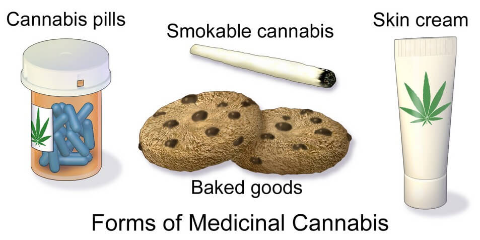  What Is Cannabis What Is Marijuana Sativa Vs Indica
